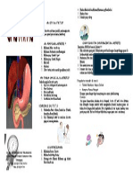 39731094-Leaflet-Gastritis.doc