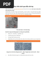 Aurora Designs Zt2 S - Free Software And Shareware