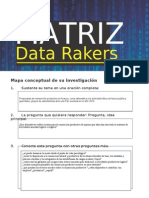 (523640882) MatrizDataRakers