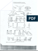 Movimientos corporales.pdf