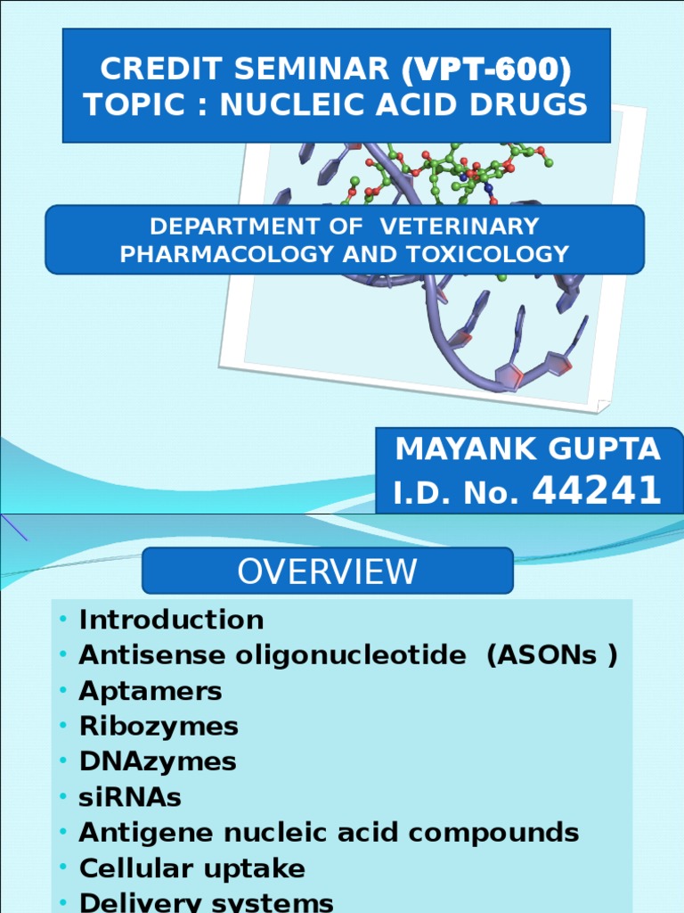 Nucleic Acid Drugs PDF Sense (Molecular Biology) Small