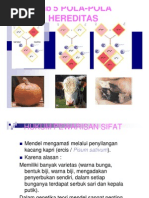 Download POLA - POLA HEREDITAS by Aditya Dwi Cahyo Nugroho SN28000006 doc pdf