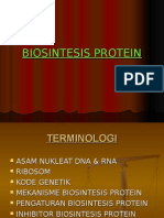 Sintesis Protein