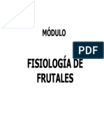 4 Cuajado de Frutos PDF