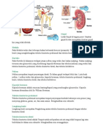 Ginjal Biologi