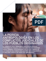 Moreira Manuel Alberto Jesús La Pericia Antropológica en Los Conflictos Judiciales de Los Pueblos Originarios