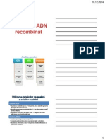 ADN-recombinant.pdf