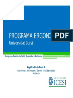 Programa de Ergonomia PDF