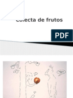 Colecta de Frutos