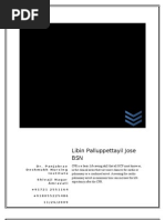 Download Lesson Plan on CPR by LIBIN PALLUPPETTAYIL JOSE SN28007190 doc pdf