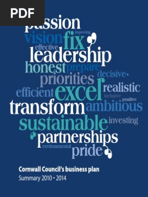 Short CC Business Plan 2010