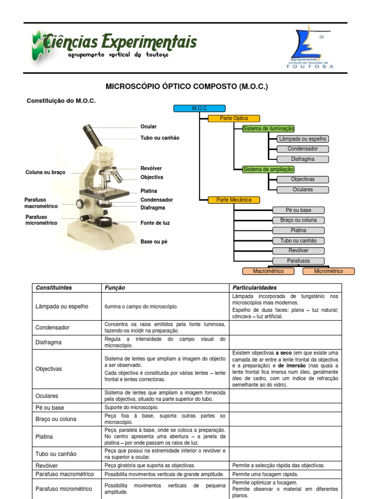 Constituição do Microscópio Óptico | PDF | Lente (ótica) | Ótica