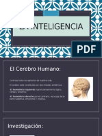 La Inteligencia1