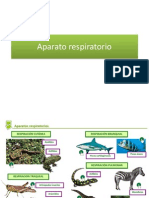 196 - Aparato Respiratorio PDF