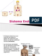 Sistema Endocrino