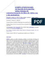 Análisis Descriptivo Al Microscopio Electrónico de Barrido de La Interfaz Adhesiva Dentina