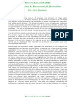 Peruvian Amazon in 2021-  Executive Summary 