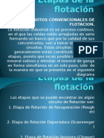 Celdas y Circuitos de Flotacion