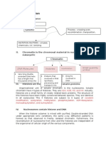 DNA Organization