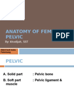 Female Pelvic Anatomy