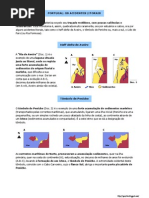 Portugal - Os acidentes litorais (10.º)