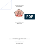 Download Anatomi Dan Fisiologi Respirasi by ariwie SN28022703 doc pdf