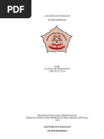 Download Anatomi Dan Fisiologi Respirasi by ariwie SN28022703 doc pdf