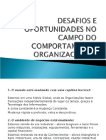 Desafios e Oportunidades No Campo Do Comportamento Organizacional