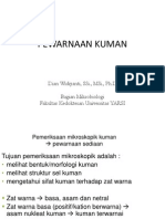 13.2. Pewarnaan Kuman