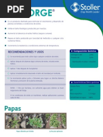 Ficha Técnica del Insecticida Toretto | PDF | Agua | Alimentos