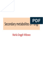 Secondary metabolites of fungi.pdf