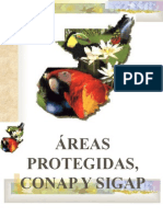Areas Protegidas,Conap y Sigap.