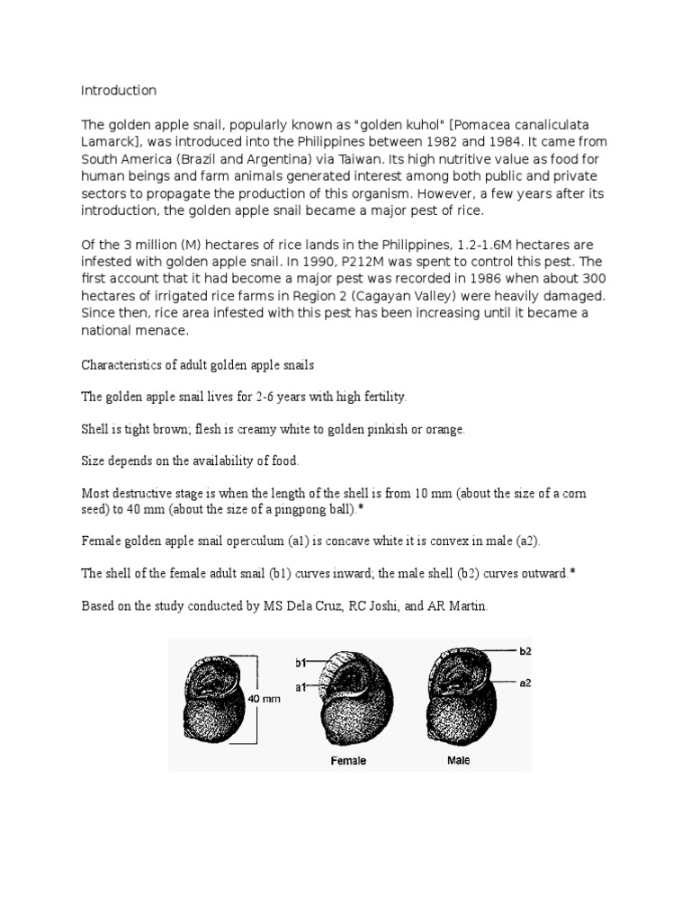 Golden Kohol | PDF | Dietary Fiber | Diet & Nutrition
