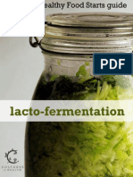 Lacto Fermentation eBook