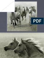 Caballos para Banner 1