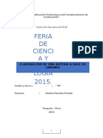 Proyecto Fencyt 2015 1ro B