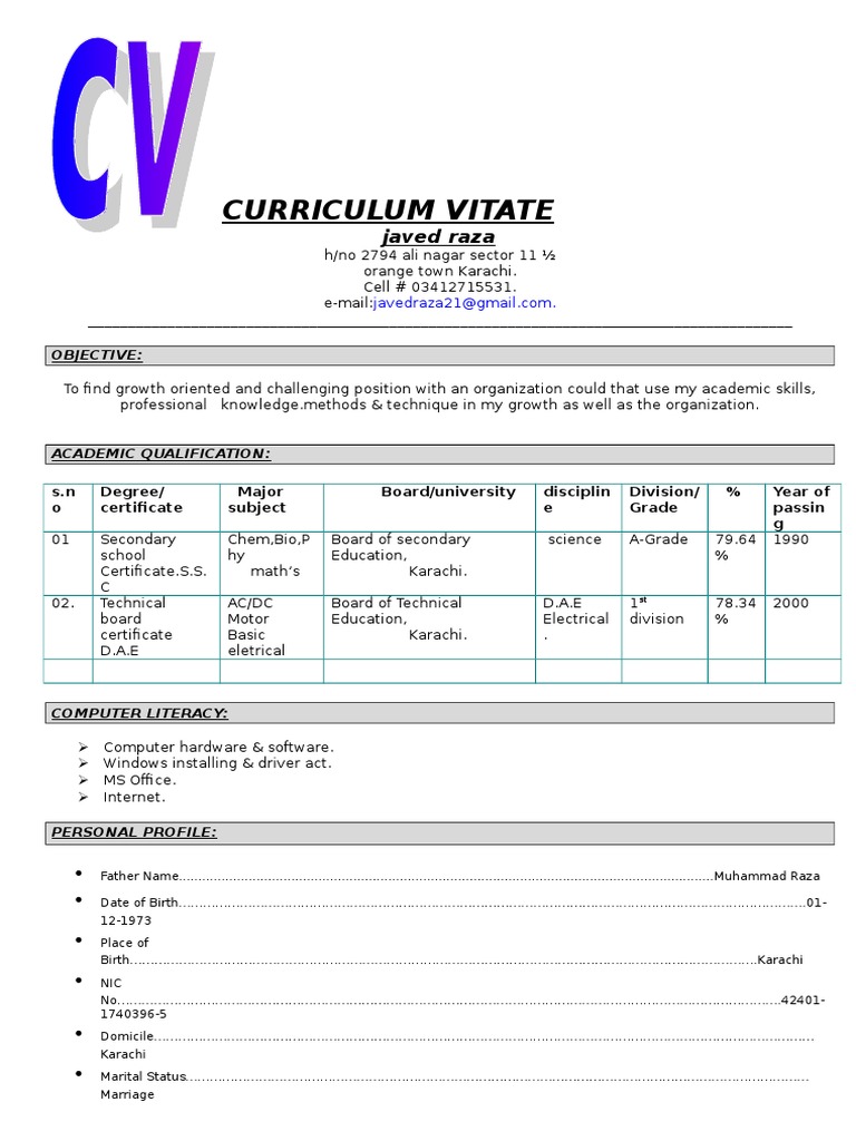 Javed Raza's Professional CV | PDF