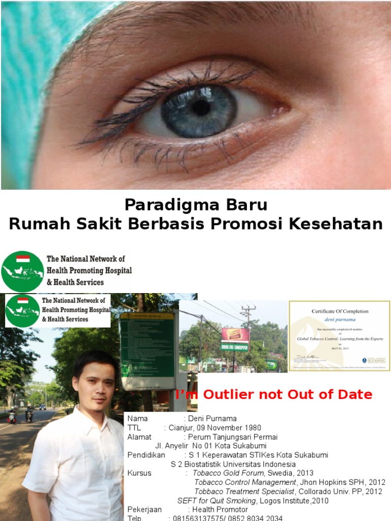Health Promotion in Hospitals Explained | PDF