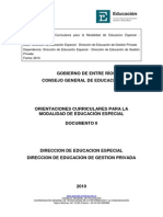 orientaciones-curriculares-para-la-modalidad-de-educacion-especial.pdf