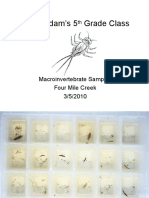 5th Grade Macroinvertebrate Samples 3-5-2010