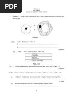 Contoh Soalan Kertas 2 Biologi