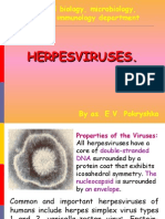 Herpes Virus