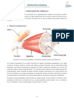 Fisiologia Del Musculo