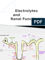 Electrolytes and Renal Function