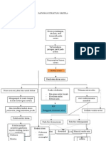 Pathway Striktur Uretra