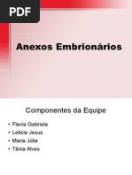 Embriologia para seminario
