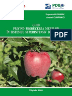 producerea-superintensiva-a-merelor.pdf
