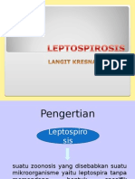 Leptospirosis New