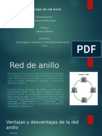 Red de Anillo