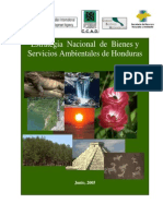 Estrategia_Nacioanal_de_Bienes_Servicios_Ambientales.pdf
